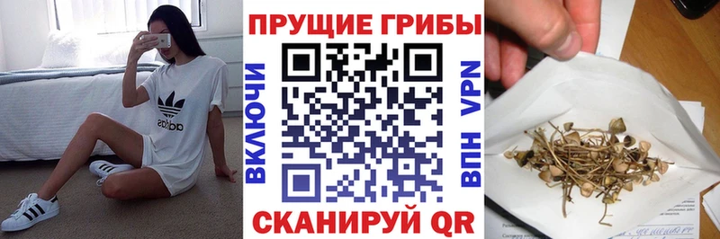 Псилоцибиновые грибы мухоморы  Краснообск 